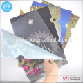 2016 New Arrive Promotional gifts clear a4 plastic PP folder